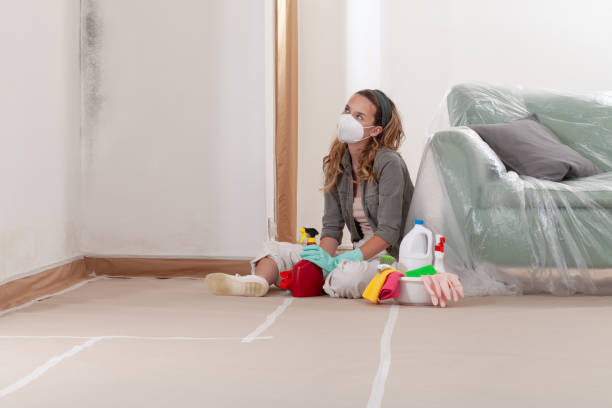 Reliable Mold Testing contractor in Spicewood, TX by WQB Mold Removal